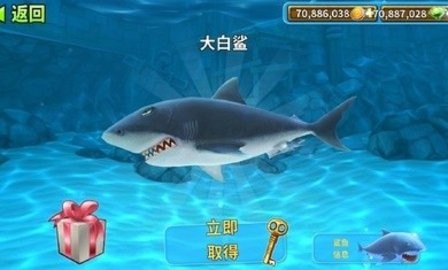 饥饿鲨进化