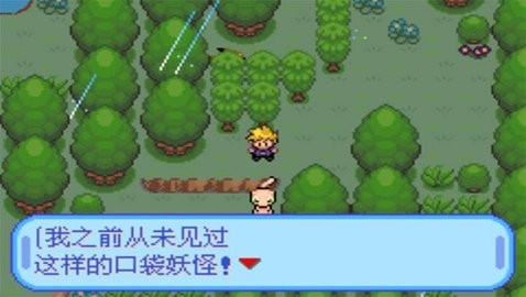 口袋妖怪特别篇蓝汉化版