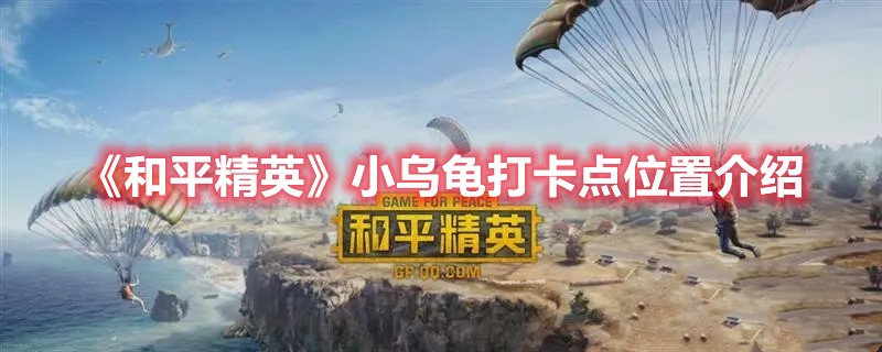 和平精英小乌龟打卡点位置介绍
