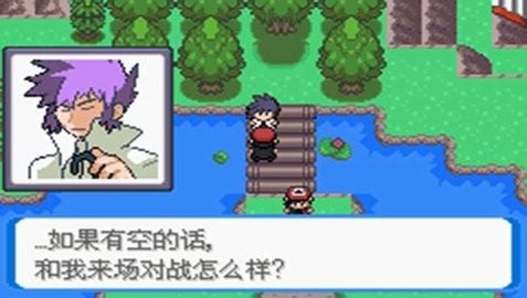口袋妖怪决心mega进化