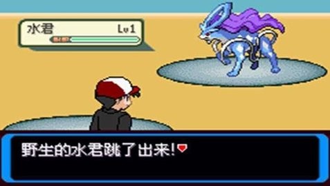 口袋妖怪决心mega进化