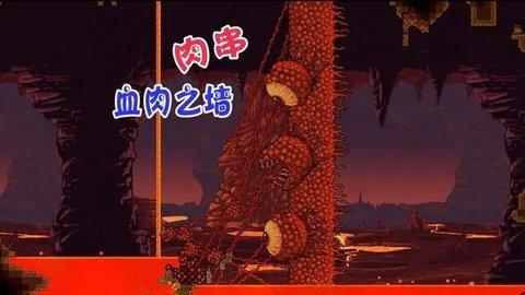 泰拉瑞亚血肉墙攻略-泰拉瑞亚最快击杀血肉墙
