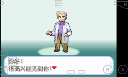 口袋妖怪火红全随机版