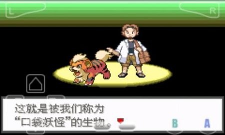 口袋妖怪极光石2.5a
