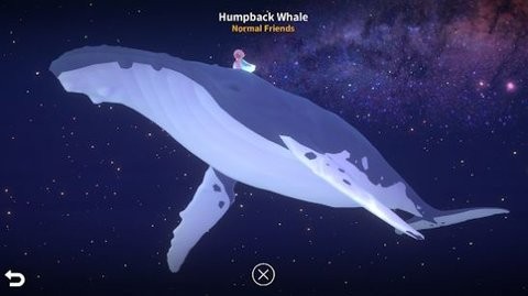 深海庭院全物品解锁版
