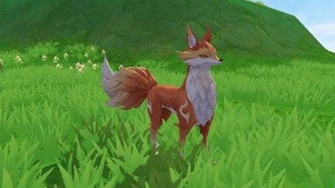 创造与魔法怎么刷心月狐饲料？创造与魔法多开刷饲料教程