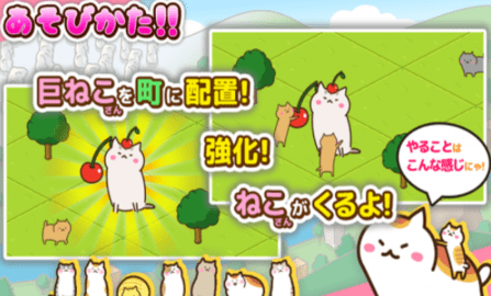 猫城巨大猫之地