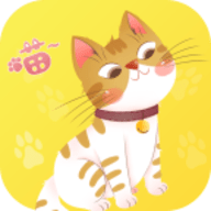 橙猫