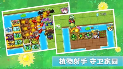 僵尸农场防御