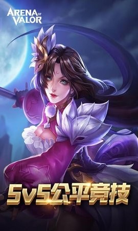 王者荣耀aov精英体验服