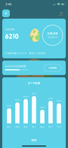 步数点点
