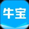 牛宝