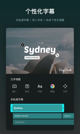 VN