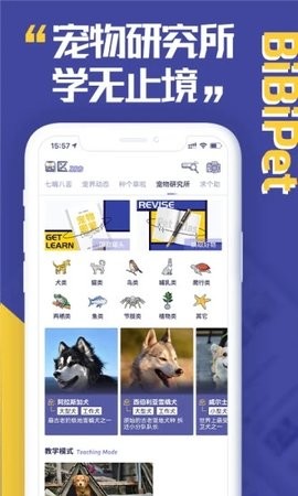 BiBiPet