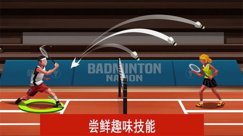 羽毛球高高手双人联机版