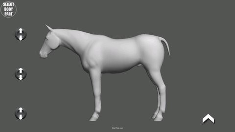 Shapr3D建模软件