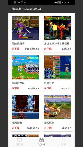 MAME模拟器