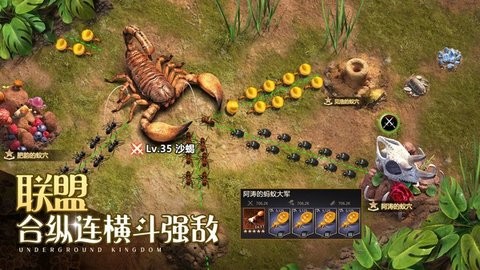 超能蚁团