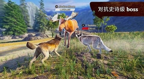 狼族崛起