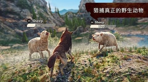 狼族崛起