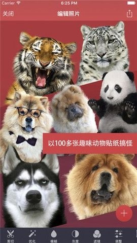 Pixomatic安卓版
