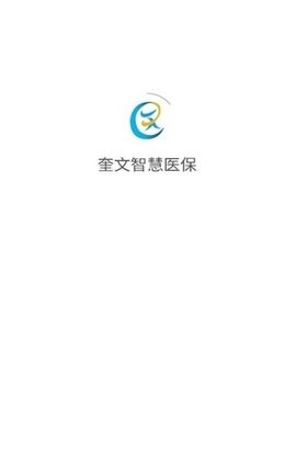 奎文智慧医保