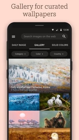Bing Wallpapers手机版