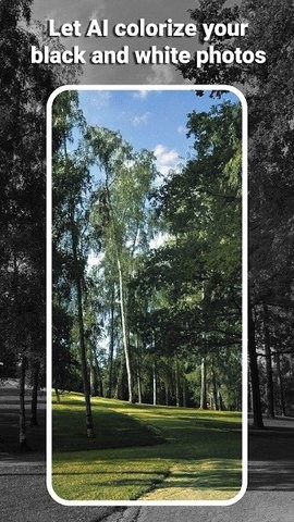 Colorize It照片上色软件