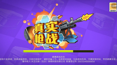 真实枪战游戏