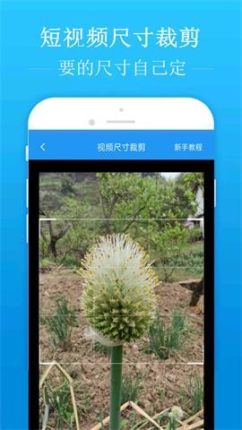 去水印吧无限会员版
