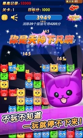 碰碰猫