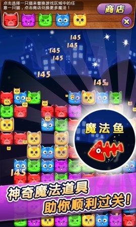 碰碰猫
