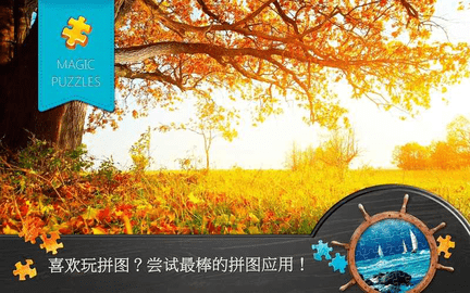 魔法拼图解锁VIP版