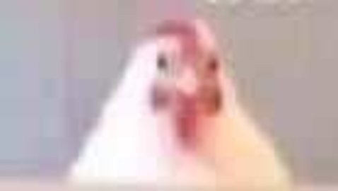 fnf马桶人
