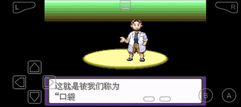 口袋妖怪漆黑的魅影5.0ex+bw