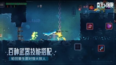 重生细胞ios