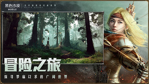 黑色沙漠手机版