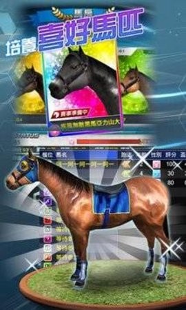 马场风云