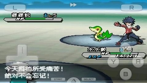 口袋妖怪白2全随机版