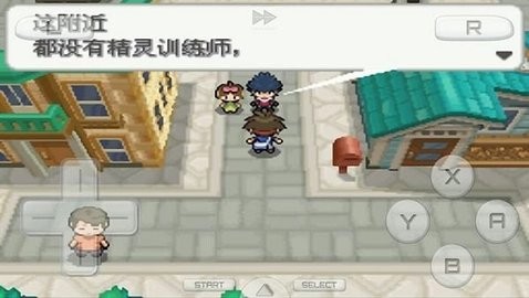 口袋妖怪白2全随机版