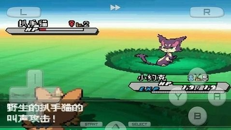 口袋妖怪白2全随机版
