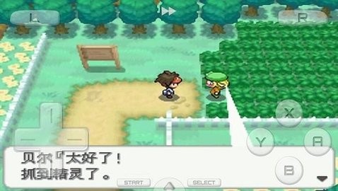 口袋妖怪白2全随机版