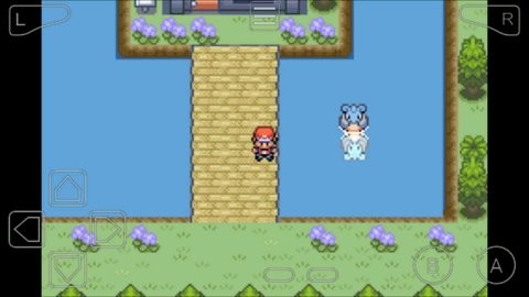 口袋妖怪空之花神金手指版