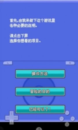 口袋妖怪银魂