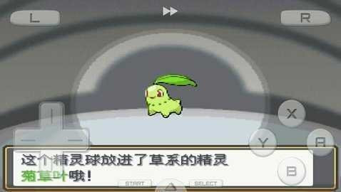 口袋妖怪金心