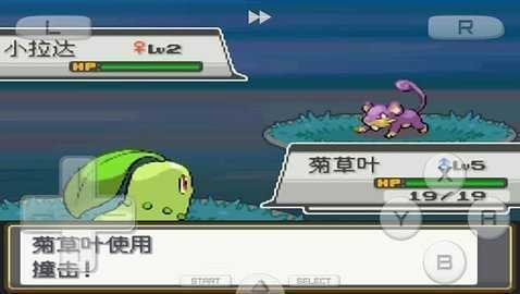 口袋妖怪金心