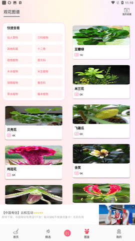 花园管家