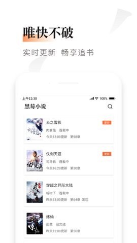黑莓小说去广告修改版
