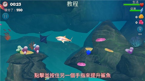 双头鲨攻击