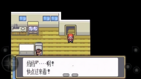 口袋妖怪黑白gba版